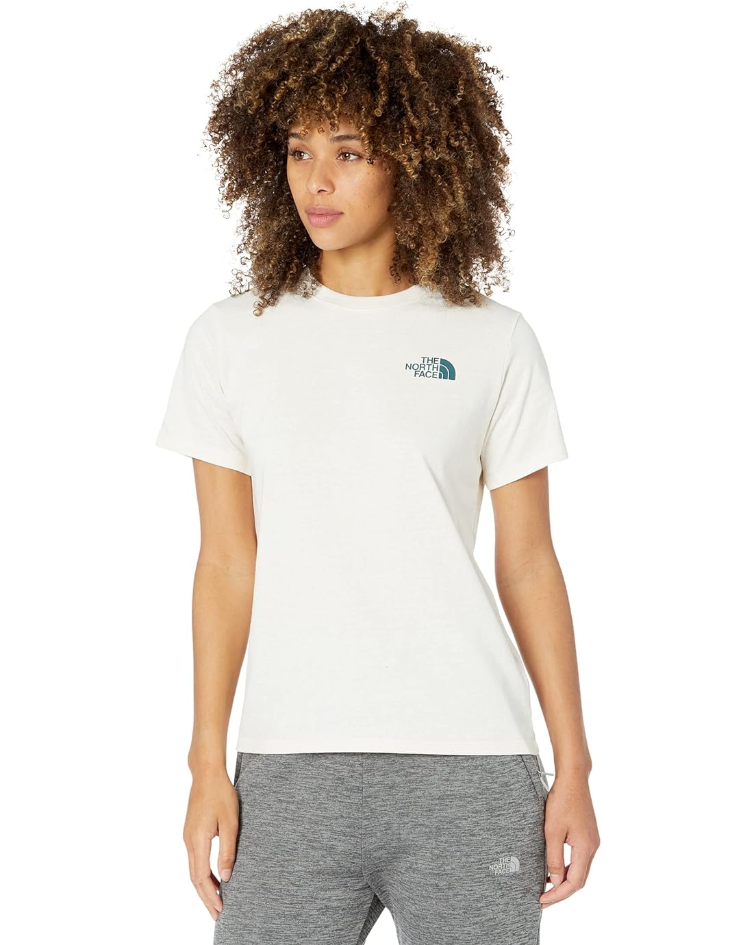 The North Face Short Sleeve Altitude Problem Tee