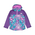 The North Face Kids Snowquest Plus Insulated Jacket (Little Kidsu002FBig Kids)