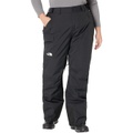 The North Face Plus Size Freedom Insulated Pants