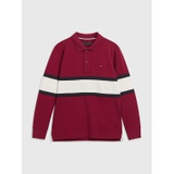 TOMMY HILFIGER Kids Colorblock Long-Sleeve Polo