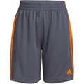 Adidas Kids Classic 3-Stripes Shorts (Big Kids)