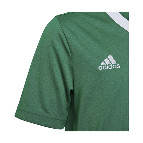 아디다스 adidas Kids Entrada22 Jersey (Little Kids/Big Kids)