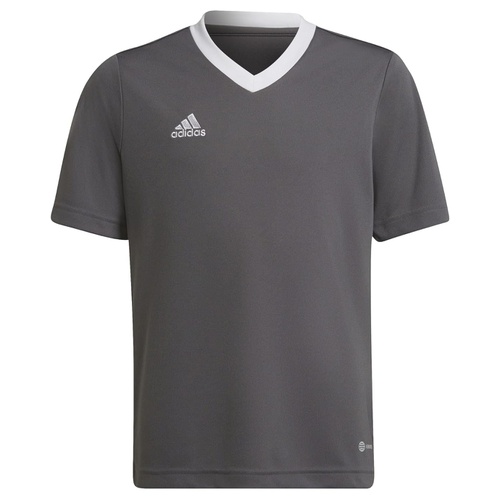 아디다스 adidas Kids Entrada22 Jersey (Little Kids/Big Kids)