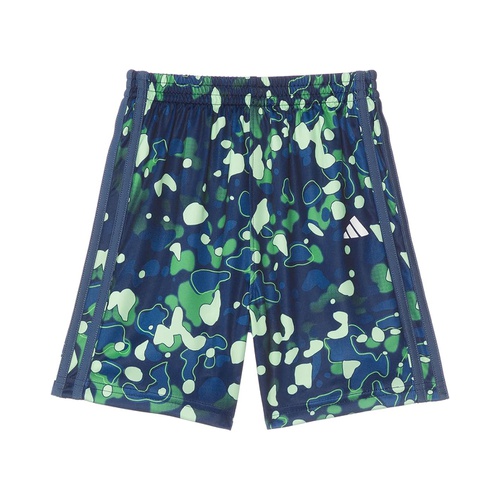 아디다스 adidas Kids AOP C Camo Short S24(Toddler/Little Kid)