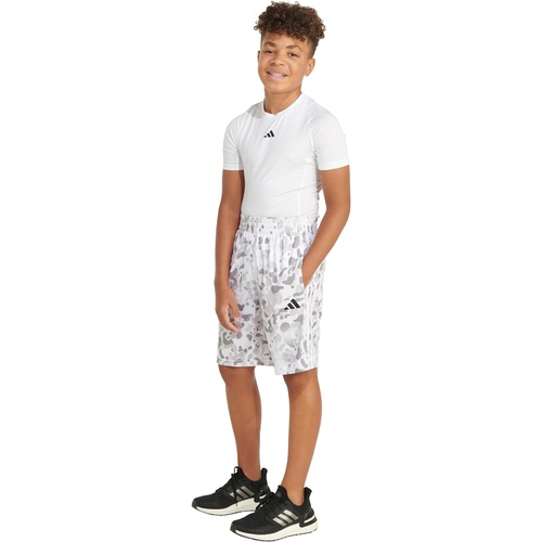 아디다스 adidas Kids AOP C Camo Short S24(Toddler/Little Kid)