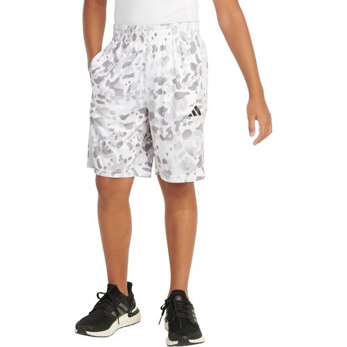아디다스 adidas Kids AOP C Camo Short S24(Toddler/Little Kid)