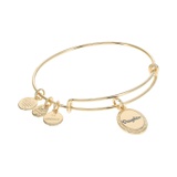 Alex and Ani Because I Love You Daughter Bracelet