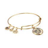 Alex and Ani MLB Washington Nationals Charm Bangle