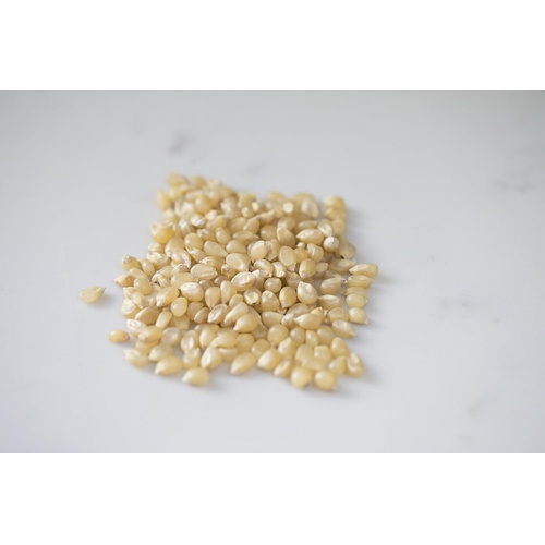  Amish Country Popcorn | 6 lb Bag | Medium White Popcorn Kernels | Old Fashioned with Recipe Guide (Medium White - 6 lb Bag)
