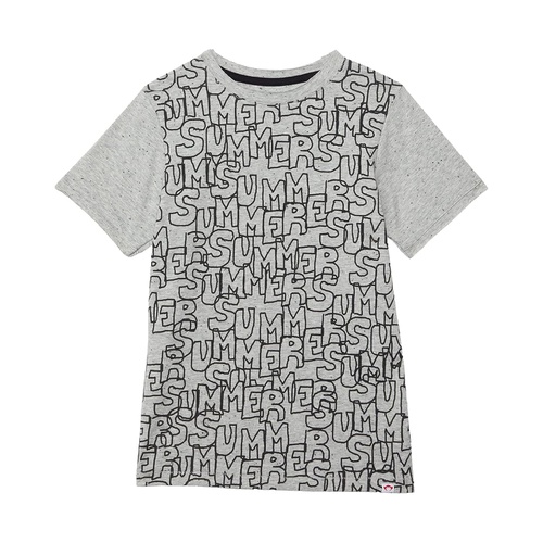 아파만 Appaman Kids Summer Graphic Short Sleeve T-Shirt (Toddleru002FLittle Kidsu002FBig Kids)