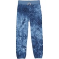 Appaman Kids Gym Sweatpants (Toddleru002FLittle Kidsu002FBig Kids)