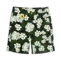 Appaman Kids Harbor Shorts (Toddleru002FLittle Kidsu002FBig Kids)