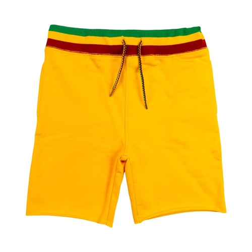 아파만 Appaman Kids Ziggy Marley Camp Shorts (Toddleru002FLittle Kidsu002FBig Kids)