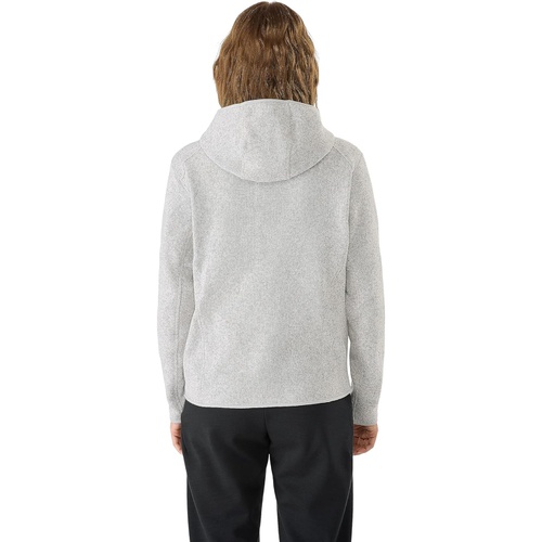 아크테릭스 Womens Arcteryx Covert Pullover Hoody