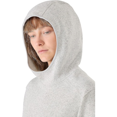 아크테릭스 Womens Arcteryx Covert Pullover Hoody