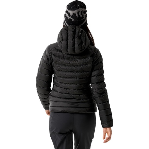 아크테릭스 Womens Arcteryx Cerium Hoody