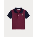 Polo Bear Color-Blocked Mesh Polo Shirt