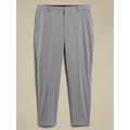 Curvy Avery Straight Pant