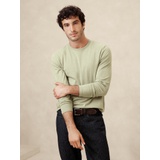 Cotton Midweight Crew-Neck T-Shirt