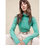 Timeless Turtleneck Top