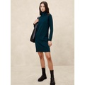 Turtle-Neck Sweater Dress