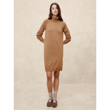 Turtle-Neck Sweater Dress