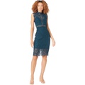 Bardot Lace Panel Dress