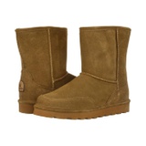 Bearpaw Brady