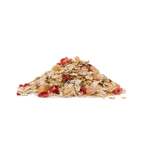  Bobs Red Mill Gluten Free Tropical Muesli, 14 oz (Pack of 4)