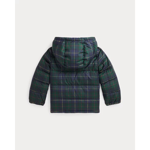 폴로 랄프로렌 Polo Bear Polo Tartan Down Jacket