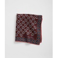 Paisley Silk Pocket Square