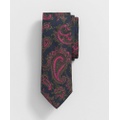 Silk Bold Paisley Print Tie