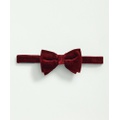 Silk Blend Velvet Bow Tie