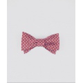 Elephant-Patterned Bow Tie