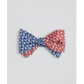 Sail with Dolphins Bow Tie