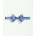 Silk Horseshoe Bow Tie