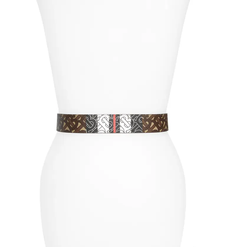 버버리 Burberry Monogram Stripe E-Canvas & Leather Belt_BRIDLE BROWN