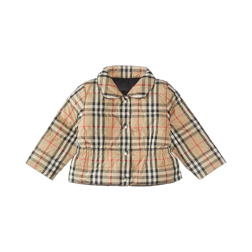 버버리 Burberry Kids Mini Oaklee (Infant/Toddler)