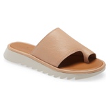 Caslon Farley Toe Loop Sandal_BROWN LATTE