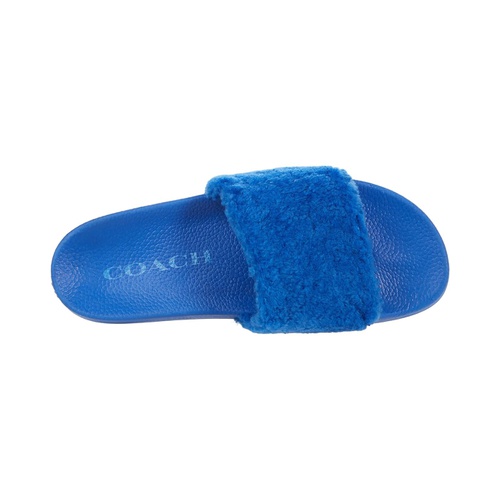 코치 COACH Curly Shearling Pool Slide