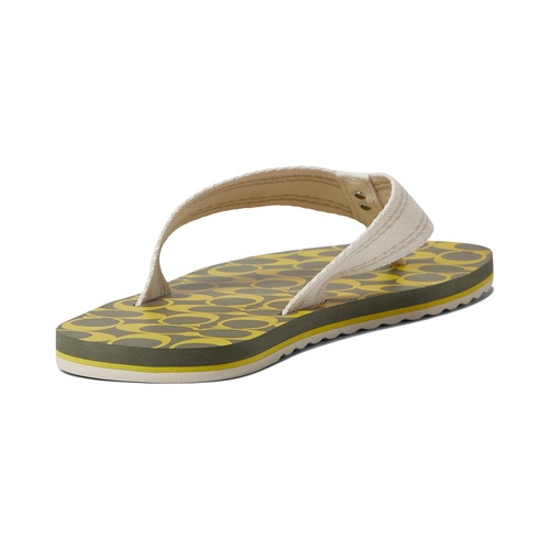 코치 COACH Signature Webbing Flip-Flop