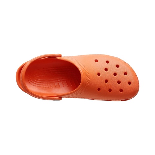 크록스 Crocs Classic Clog