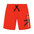 Big Boys Graphic Knit Shorts