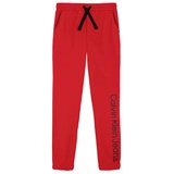 Big Boys Logo Leg Jogger