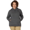 Womens Carhartt Plus Size Clarksburg Sleeve Logo Hooded Sweatshirt