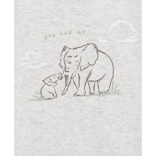 카터스 Baby Short-Sleeve Elephants Bodysuits Pack of 5