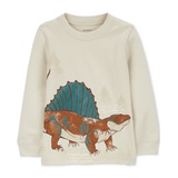 Toddler Boys Dinosaur Graphic Long-Sleeve T-Shirt