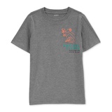 Little Boys and Big Boys Dinosaur T-Shirt