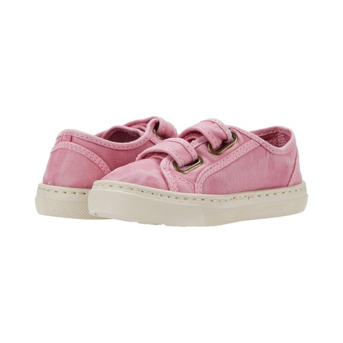 클락스 Cienta Kids Shoes 83777 (Toddler/Little Kid/Big Kid)