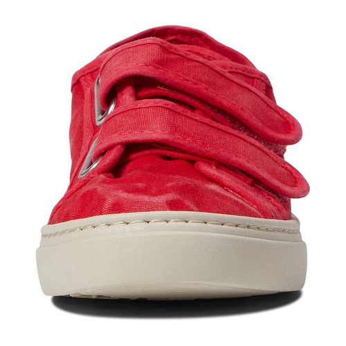 클락스 Cienta Kids Shoes 83777 (Toddleru002FLittle Kidu002FBig Kid)